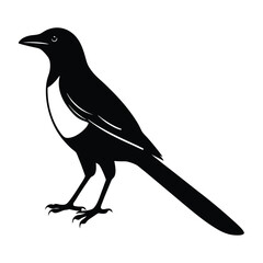 Magpie Silhouette Vector Art Design | Black and White Magpie Bird Vector Illustration