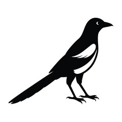 Magpie Silhouette Vector Art Design | Black and White Magpie Bird Vector Illustration
