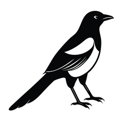Magpie Silhouette Vector Art Design | Black and White Magpie Bird Vector Illustration