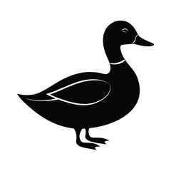 Mallard Silhouette Vector Art Design and Black and White Mallard Bird Vector Illustration