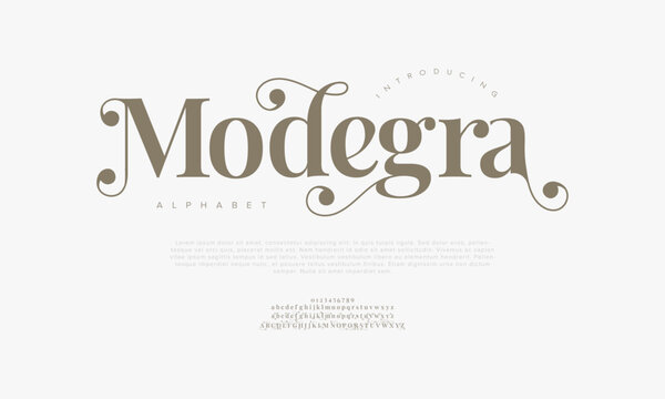 Elegant Swirly Serif Font Vector for Feminine Branding and Beauty Design