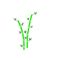 Green bamboo stalks with fresh leaves against a white background, symbolizing growth and nature