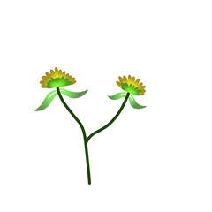 Two vibrant yellow flowers with green leaves on a white background, symbolizing growth and nature