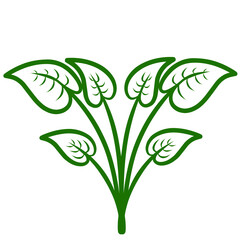 Vibrant green leaves emerging from the ground, symbolizing growth and renewal in a natural setting