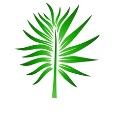 Vibrant green palm leaf silhouette against a clean white background, perfect for nature themes