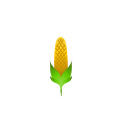 Obraz premium Vibrant illustration of a corn cob with green leaves against a plain white background, ideal for food themes