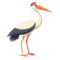Stork isolated on white background
