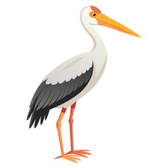 Stork isolated on white background
