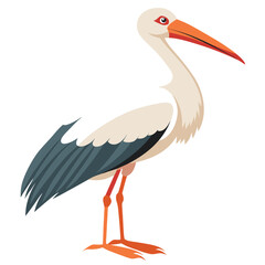 Stork isolated on white background