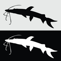 silhouette design of ornamental catfish species logo with black and white colors