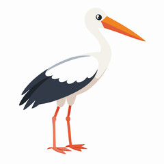 Fototapeta premium Stork isolated on white background