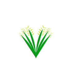 Vibrant green grass blades with delicate yellow tips against a clean white background, ideal for nature themes