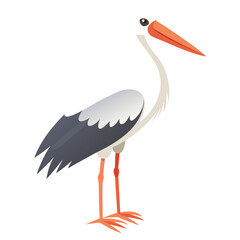 Stork isolated on white background