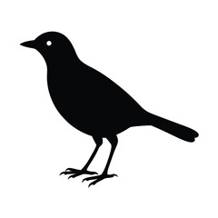 Myna Silhouette Vector Art Design | Black and White Myna Bird Vector Illustration