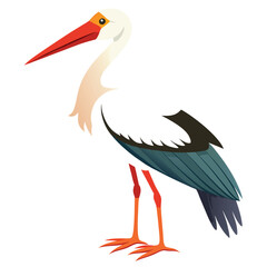 Stork isolated on white background