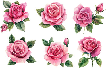 seamless pattern with roses