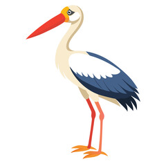 Stork isolated on white background