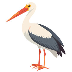 Stork isolated on white background