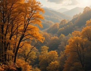 A picturesque scene showcasing a vibrant array of trees adorned with golden-yellow leaves, capturing the essence of autumn as sunlight filters through the branches, creating a warm glow.