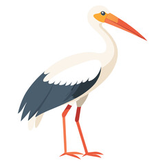 Stork isolated on white background