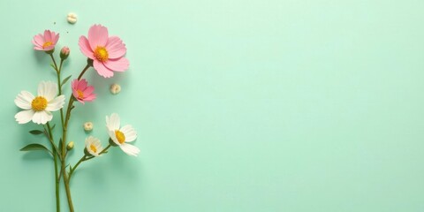 Naklejka premium Delicate Pink and White Flowers Arranged on a Soft Mint Green Background, Ideal for Spring or Summer Designs and Projects