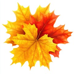 Fototapeta premium Autumn leaves cluster