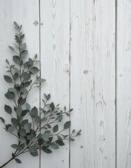Obraz premium A cluster of vibrant eucalyptus leaves arranged artfully on a rustic white wooden background, showcasing their rich green hues and delicate textures, creating a serene and natural aesthetic.