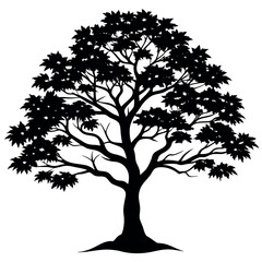 Obraz premium A blood good-Japanese-maple-tree-silhouette-vector 