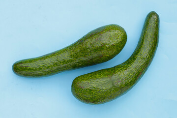 Long avocado fruit, Fresh long neck avocado