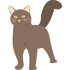 Cat Vector Illustration