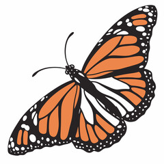 Monarch Butterfly vector illustration