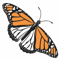 Monarch Butterfly vector illustration