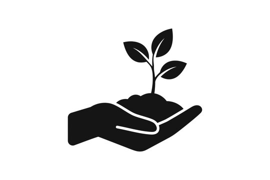 black hand holding plant growing clip art preview
