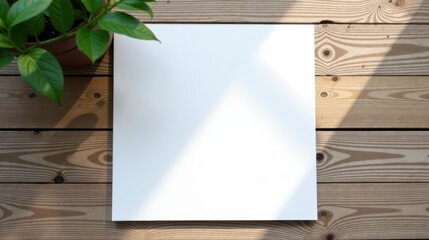 Naklejka premium Sunlight Illuminates Blank Paper Resting on a Wooden Surface with a Potted Plant