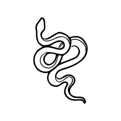 coiled snake outline illustration