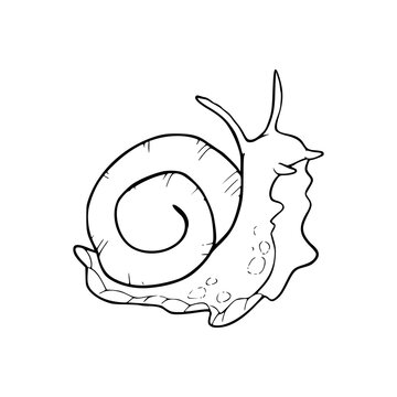 recommend clip art: outline of a crawling snail