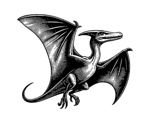 Pterodactyl Flying with Detailed Wing in Black and White Engrave Style Graphic Art