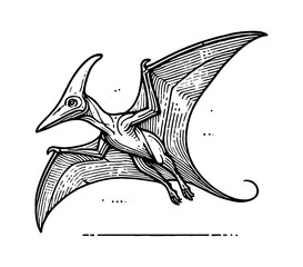 Pterodactyl Flying in Black and White Engraving Art Style with Detailed Wing Structure
