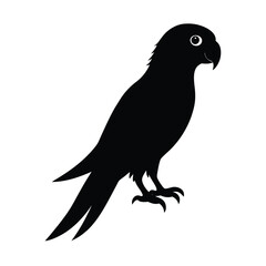 Parrot Silhouette Vector Art – Black and White Parrot Bird Illustration