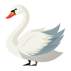 Swan bird isolated on white background