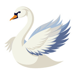 Swan bird isolated on white background