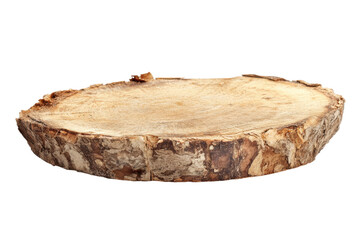 ree stump isolated on white