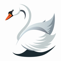 Swan bird isolated on white background