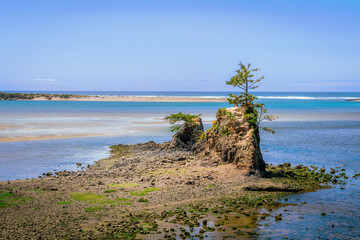 Siletz Bay Vista Point in Lincoln City, Oregon, offers a great panoramic view of Siletz Bay and its surrounding natural beauty of the west coast.  