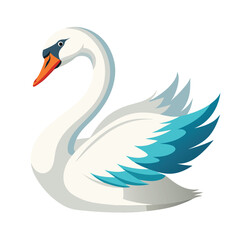 Swan bird isolated on white background