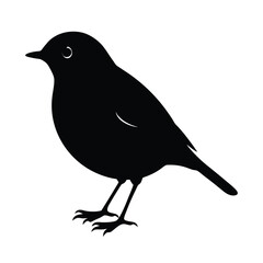 Robin Silhouette Vector | Black and White Robin Bird Illustration