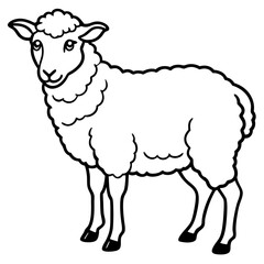 sheep vector illustration