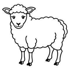sheep vector illustration