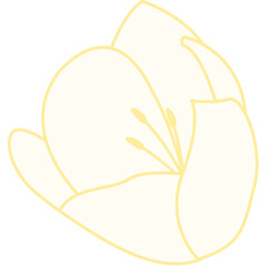 Flower Shape Illustration
