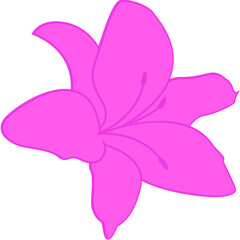 Flower Shape Illustration